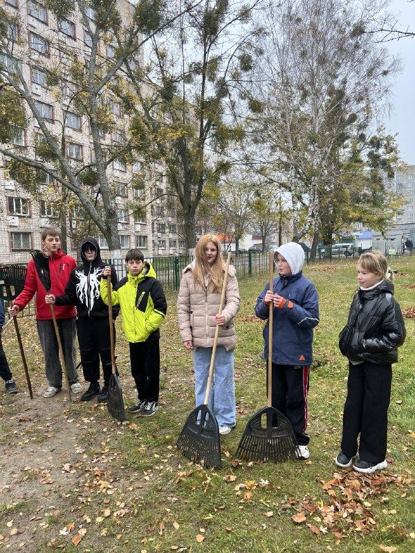 Волонтерский отряд "Бумеранг добра" провёл уборку опавшей листвы Волонтерский отряд "Бумеранг добра" провёл уборку опавшей листвы