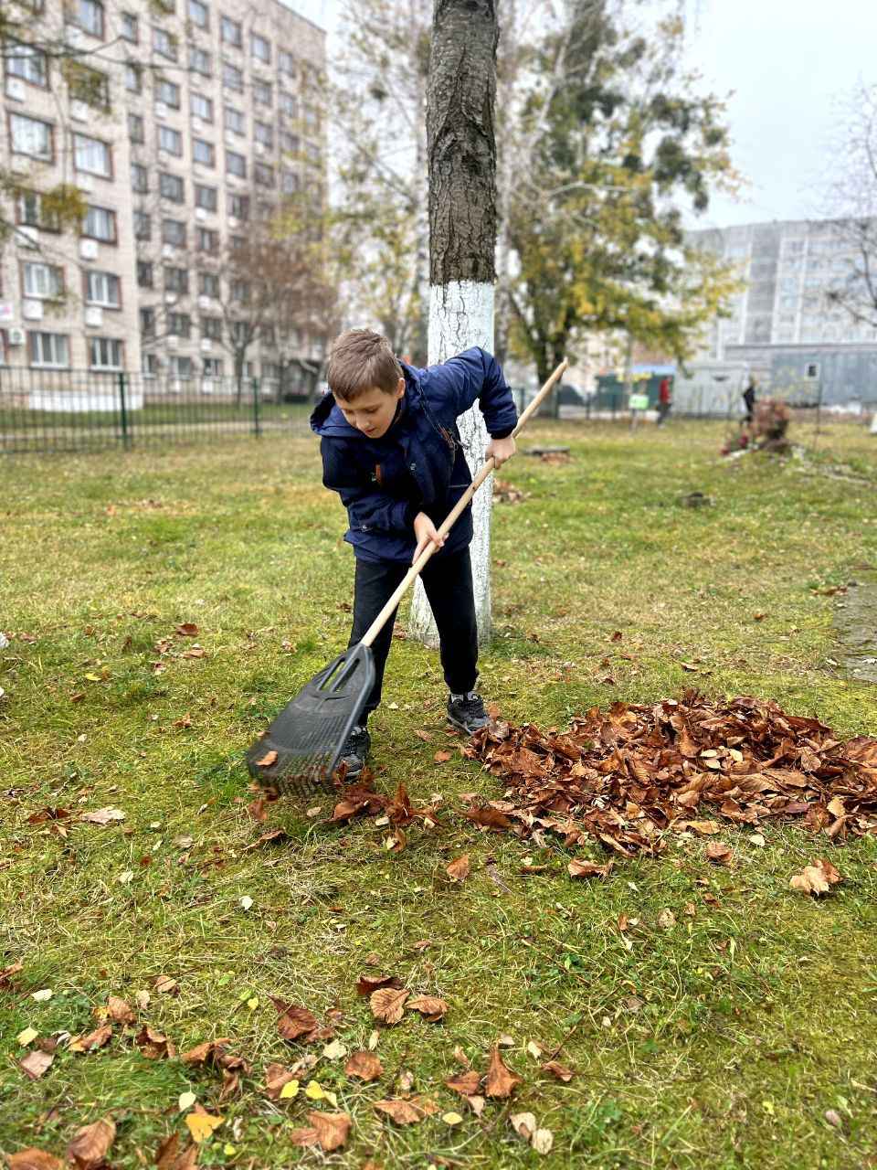 Волонтерский отряд "Бумеранг добра" провёл уборку опавшей листвы Волонтерский отряд "Бумеранг добра" провёл уборку опавшей листвы