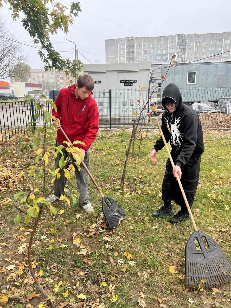 Волонтерский отряд "Бумеранг добра" провёл уборку опавшей листвы Волонтерский отряд "Бумеранг добра" провёл уборку опавшей листвы